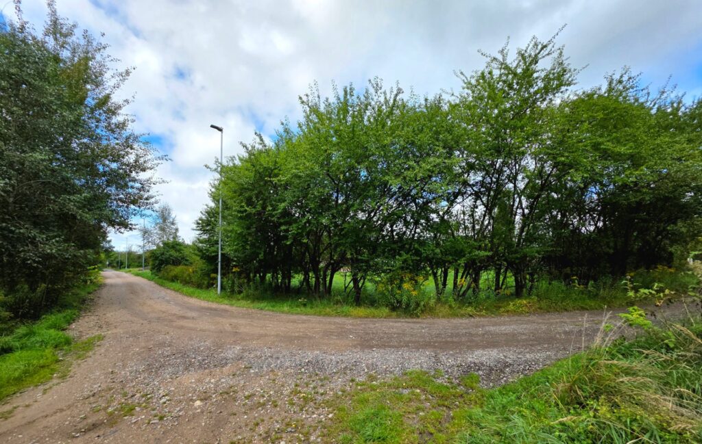 Sklypas 9,03 a Vilniuje, Salininkuose – Kelmijos Sodų 75‑oji