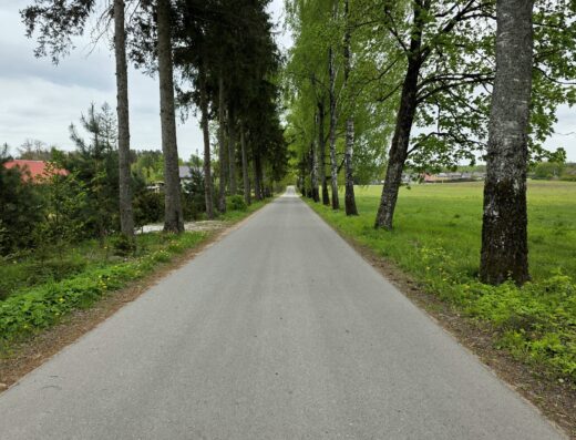Sodo sklypas su pamatais ir projektu Kalveliuose, Paparčių g.