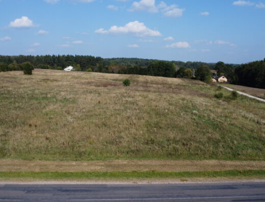 Parduodamas 2,1 ha žemės ūkio sklypas Rakonių k., Vilniaus r. Atlikti kadastriniai matavimai, asfaltuotas privažiavimas, galimybė ūkininko sodybai.