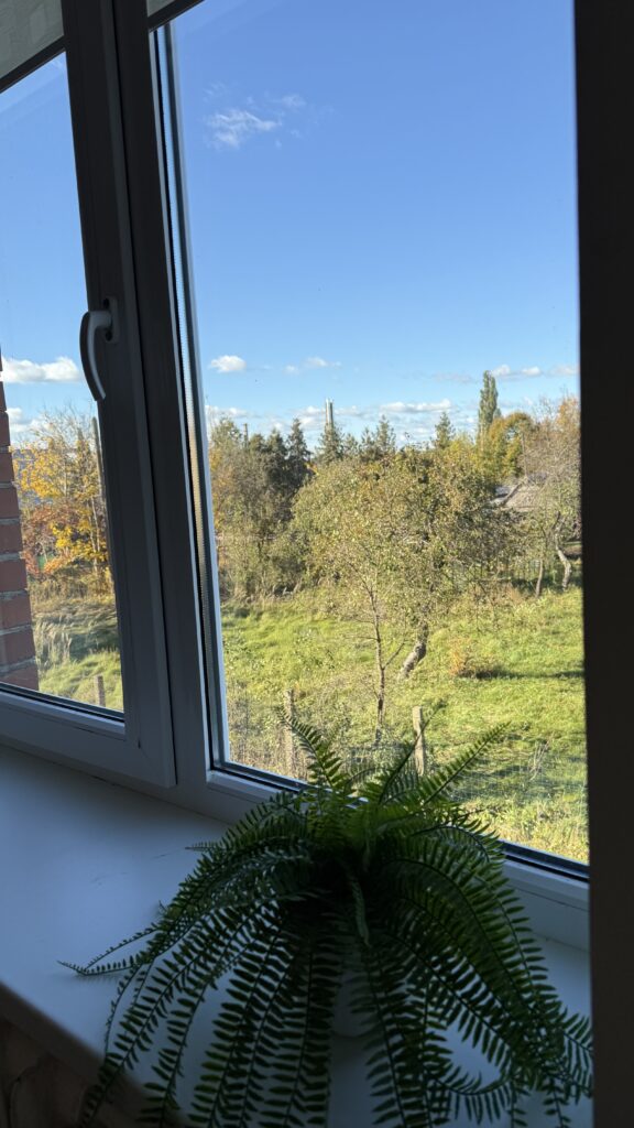 Šviesus 4 kambarių butas Ukmergėje, šalia miško