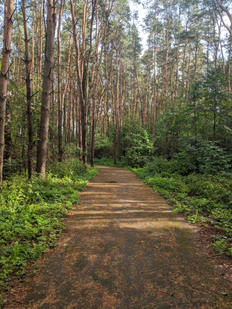 Šviesus 4 kambarių butas Ukmergėje, šalia miško