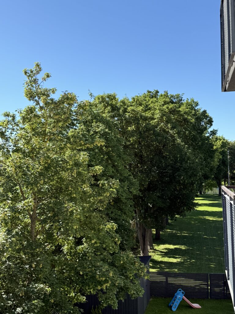 2k. Žemuose Šančiuose, Vokiečių g.