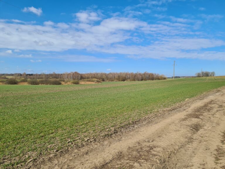 Parduodamas ž.ū.p.sklypas Valavičių k. 4.82 ha.