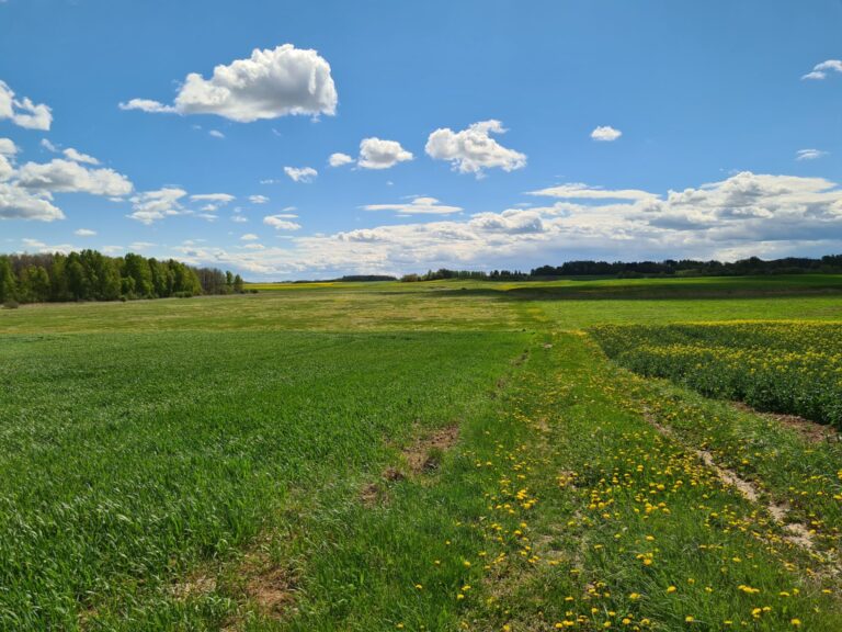 Parduodamas ž.ū.p.sklypas Valavičių k. 4.82 ha.