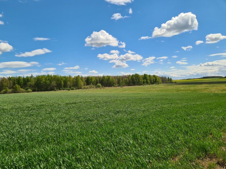 Parduodamas ž.ū.p.sklypas Valavičių k. 4.82 ha.