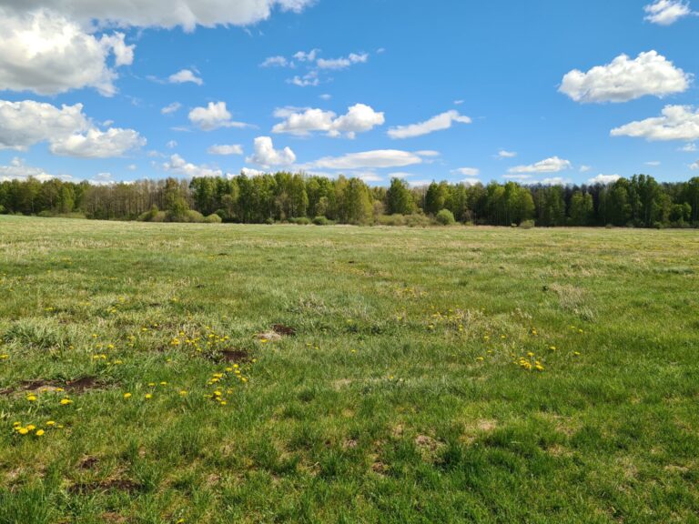 Parduodamas ž.ū.p.sklypas Valavičių k. 4.82 ha.